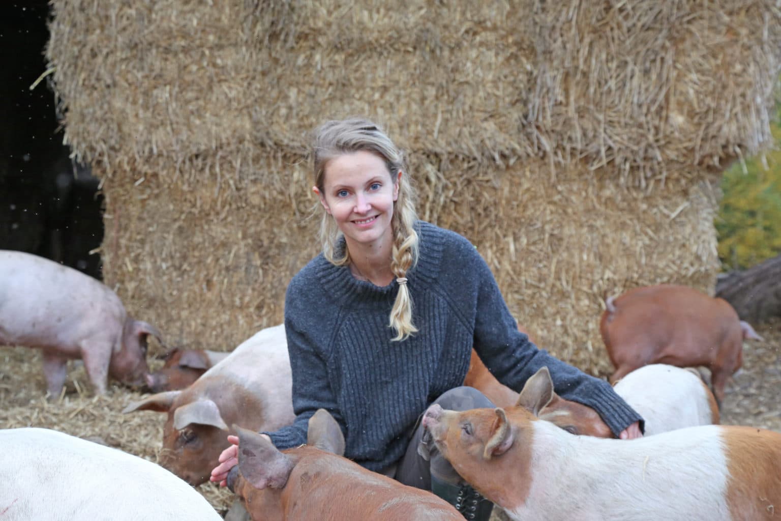 Veterinær Helle Haukvik med frilandsgriser